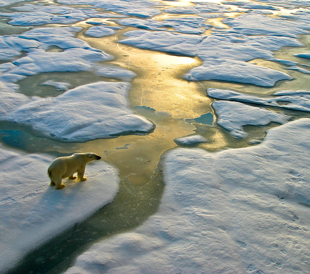 Contributing to reducing CO2 emissions, a cause of global warming