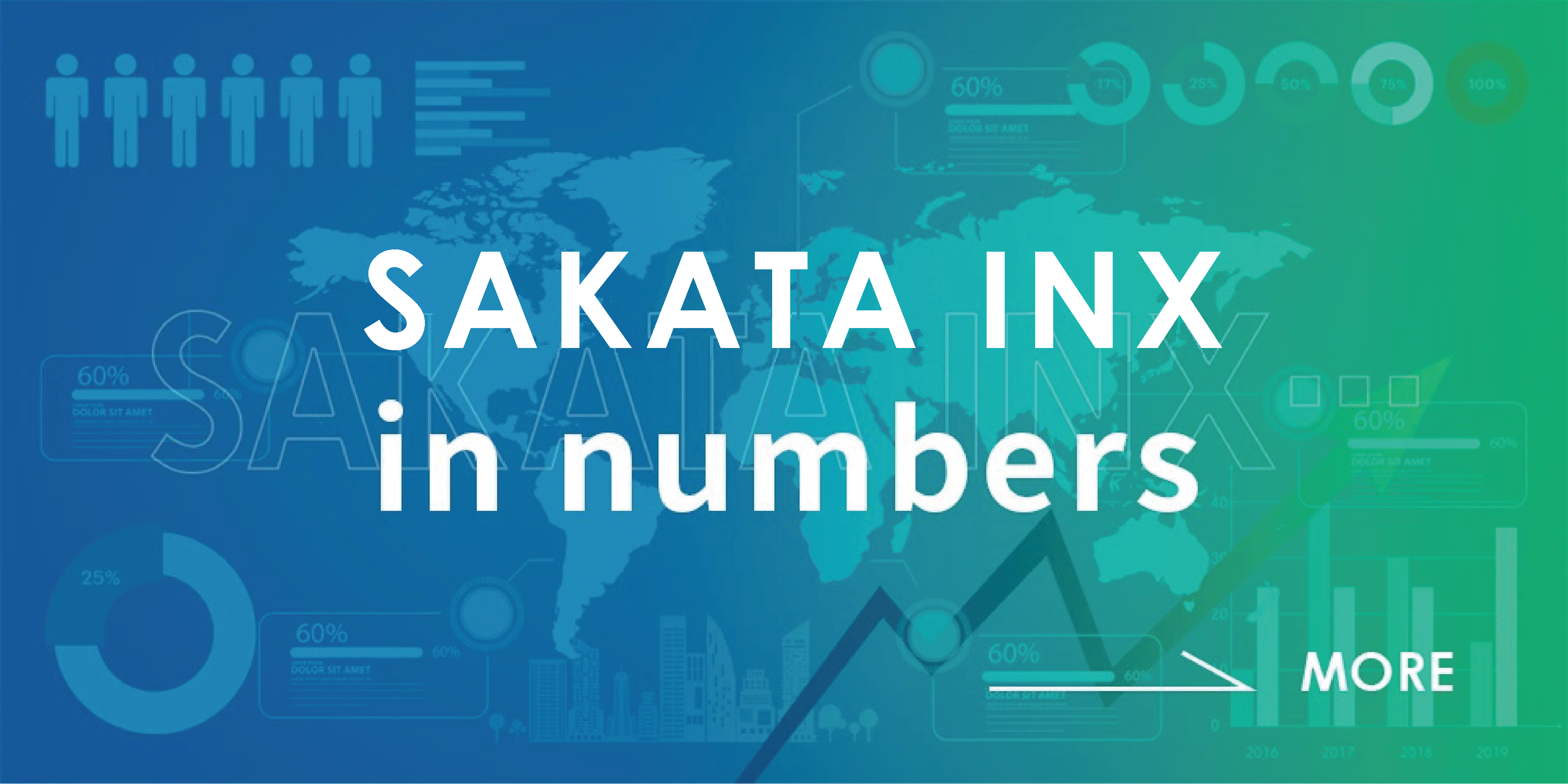 SAKATA INX in numbers