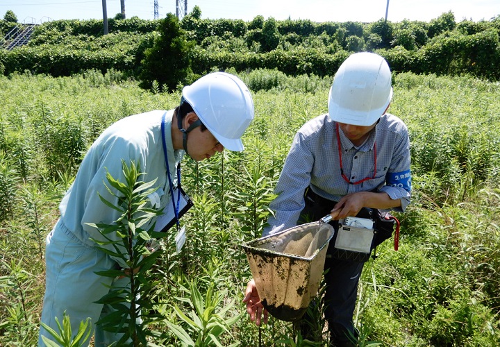 生態系調査