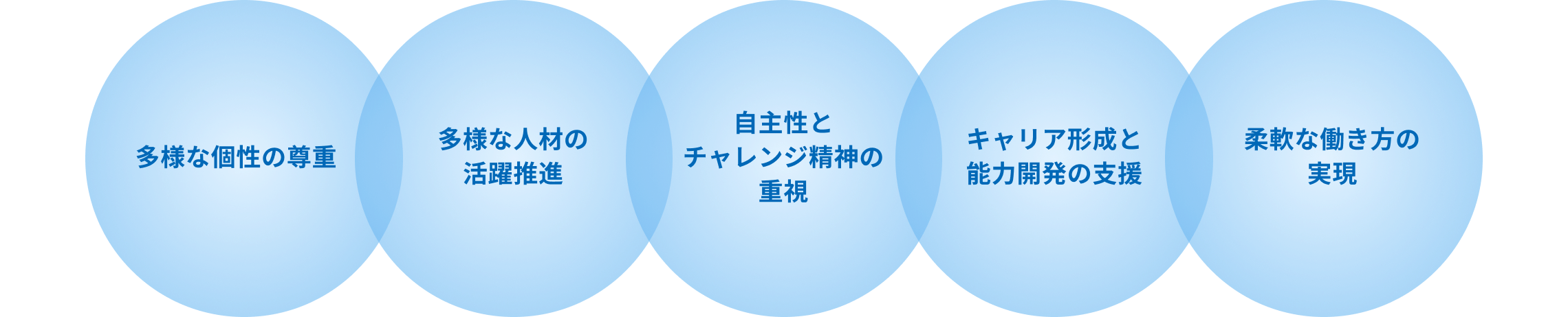 多様な個性の尊重、多様な人材の活躍推進、自主性とチャレンジ精神の重視、キャリア形成と能力開発の支援、柔軟な働き方の実現